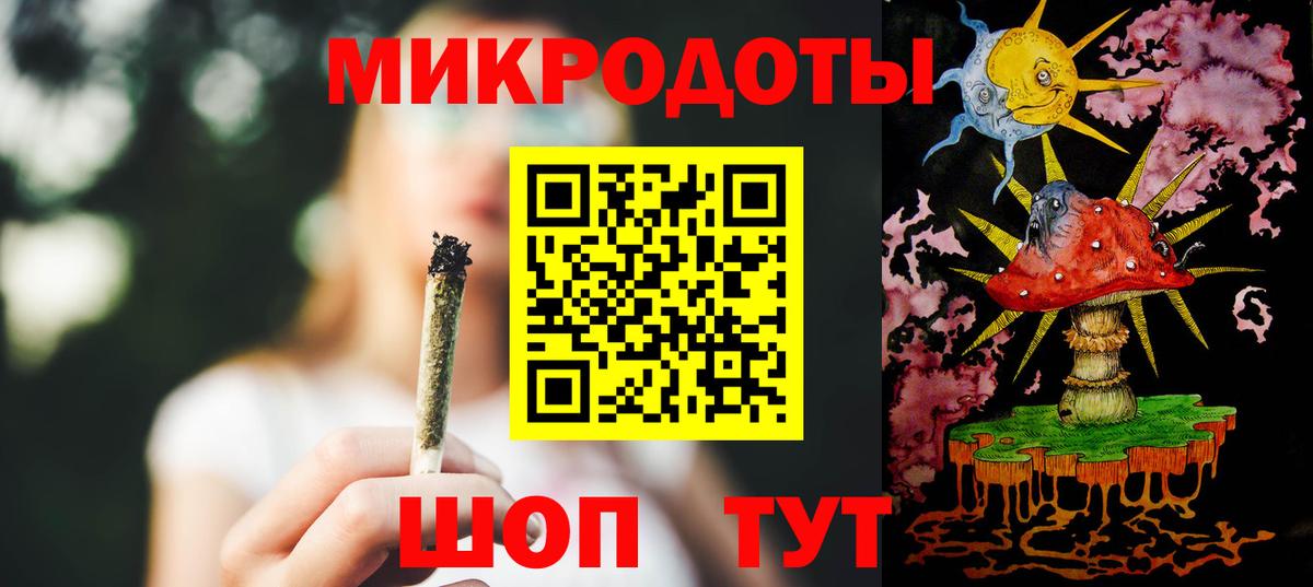 Псилоцибиновые грибы Psilocybe Комсомольск-на-Амуре